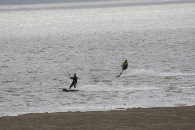  ¡Venga con un cuale! 